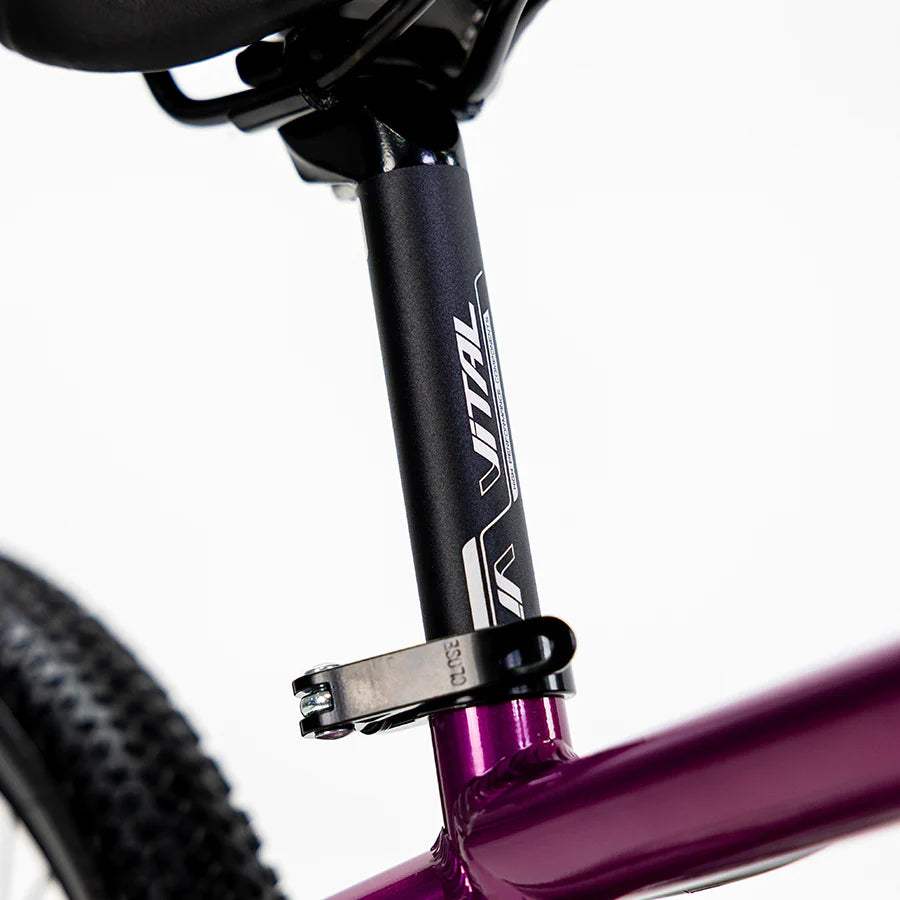 ALUBIKE MTB SIERRA 20 PURPURA 1V