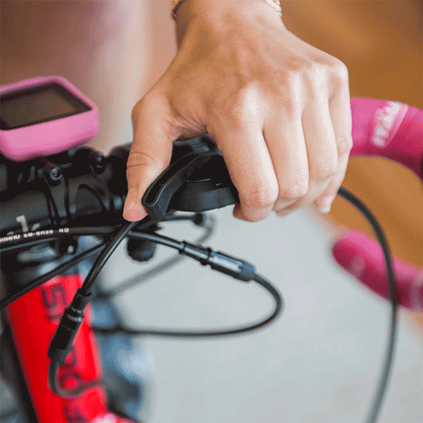 Ciclosimulador Blackburn Fitness Mag 5 | Kit de tapete y bloque de entrenamiento - Raudor ¡Rompe tu propio récord!