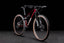 Bicicleta de montaña CUBE AMS ZERO99 C:68X Race Liquidred'n'Carbon 2022 / Fox 32 SC Float Performance 100 mm / Fox Float DPS Performance Elite Remote