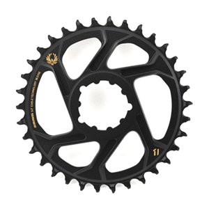 Plato SRAM X-SYNC 2 Eagle 34t Direct 6mm - Raudor ¡Rompe tu propio récord!