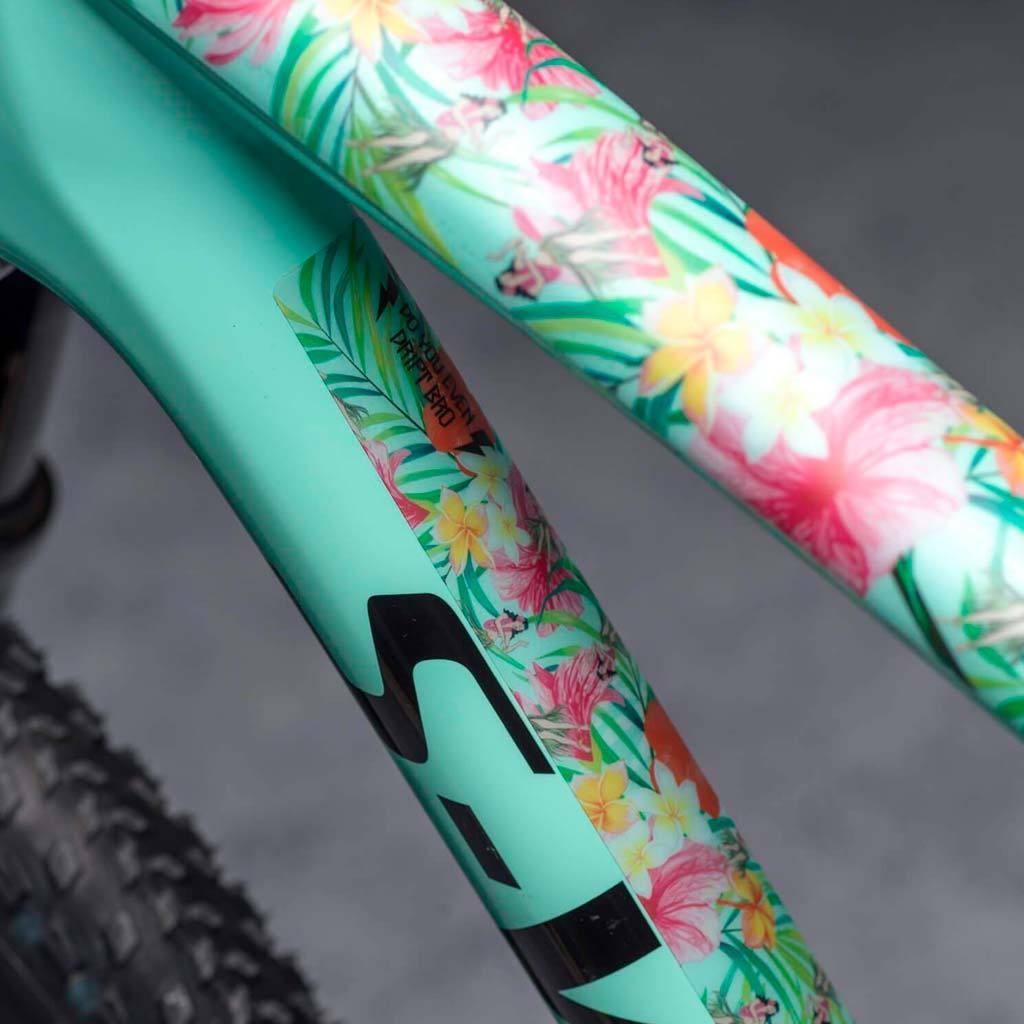 Protector de cuadro DYEDBRO Hawaii 2.0 - Raudor ¡Rompe tu propio récord!